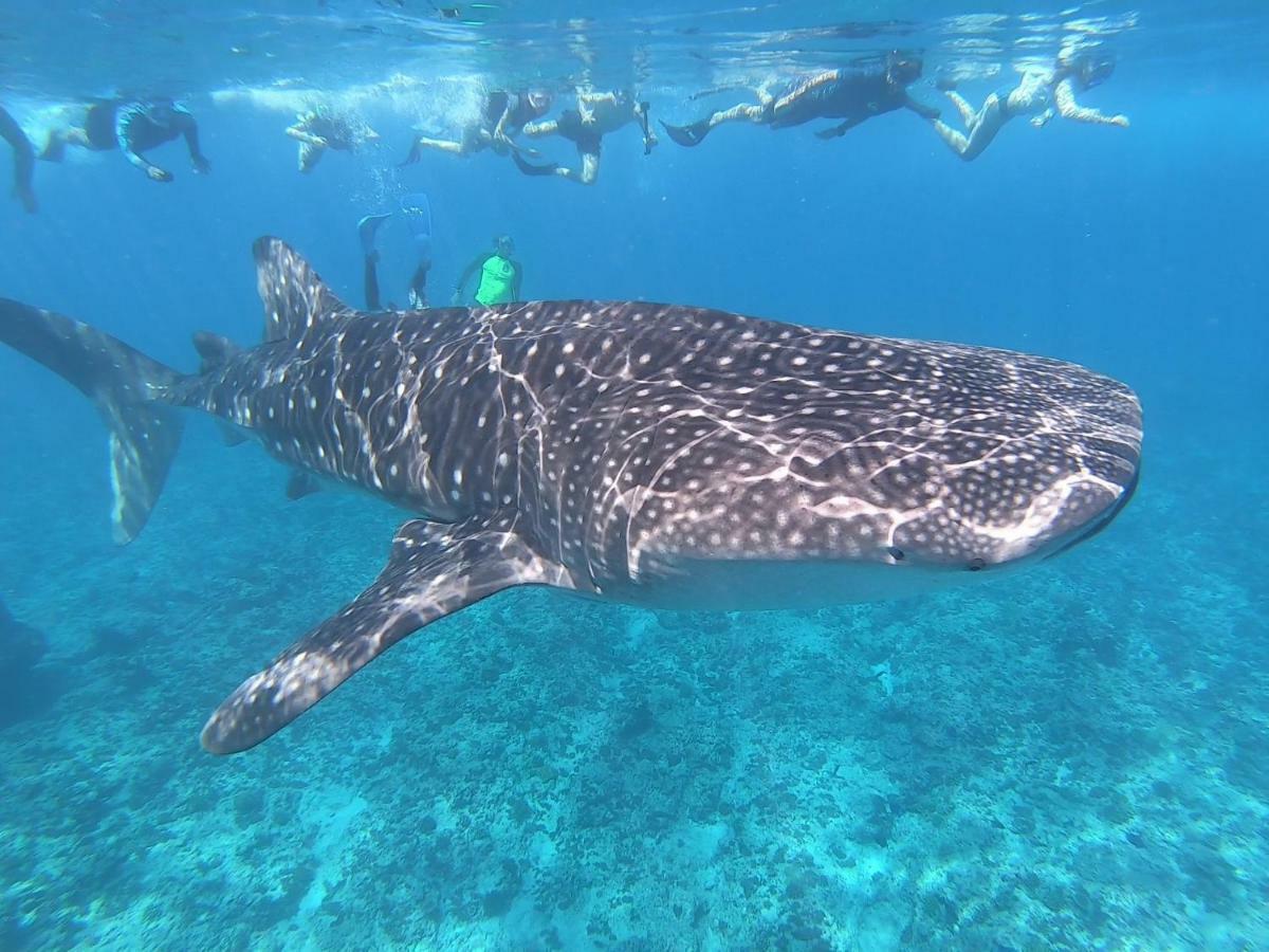 Lagoon View Maldives Bodufolhudhoo Ngoại thất bức ảnh